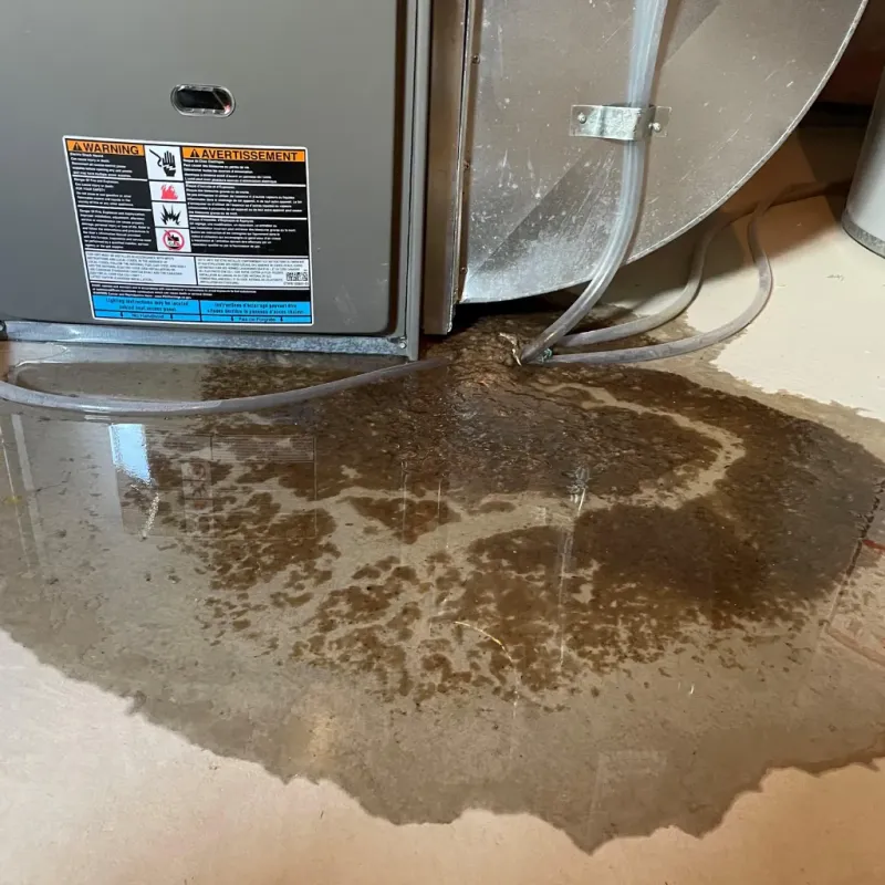 Appliance Leak Cleanup in Cottonwood, AL